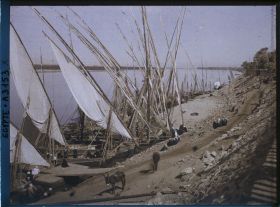 Image représentant Bords du Nil