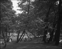 Image représentant L'avenue du Bois de Boulogne