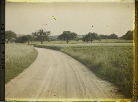 Image représentant Ile de France, Autriches, Champs d'avoine bordant la route de Trie-Château