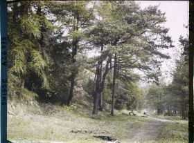 Image représentant L'île des lapins, voisine de l'île Saint-Pierre