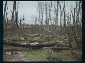 Image représentant France, Thiescourt, Guerre : Paysage de la fontaine du Loup, point très marécageux de la vallée de Thiescourt et où