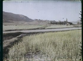 Image représentant Afghanistan, Meidan, Paysage et Champ de Colza