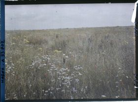 Image représentant France, Reims