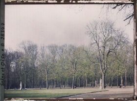 Image représentant France, Versailles, Pelouse des Quniconces