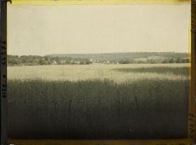 Image représentant Ile de France, Autriches, Effets de jour sur Champ de blé