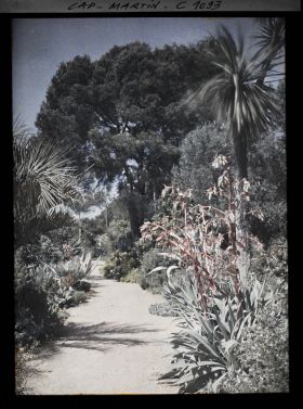 Image représentant le Jardin