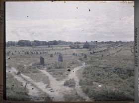 Image représentant Les alignements de Kermario, vue prise depuis le Vieux Moulin