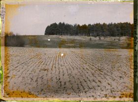 Image représentant Ile de France, Vallangoujard, Champs de pois