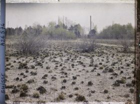 Image représentant L'île des lapins, voisine de l'île Saint-Pierre