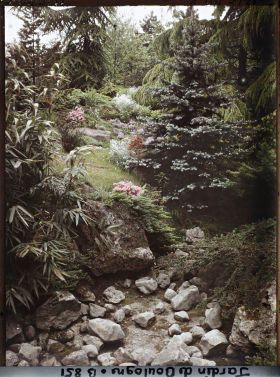 Image représentant Berge fleurie et pierres au fond d'un cours d'eau assez asséché du " sanctuaire japonais "