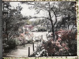 Image représentant Hibiya-koen (parc de Hibiya), allée bordée d'azalées