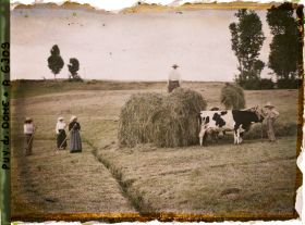 Image représentant Fenaisons