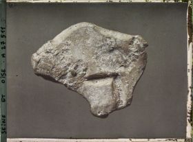 Image représentant France, St Germain-en-Laye, Bison de la Grotte du Tuc d'Audoubert 58030, Donné par le Comte Bégouen