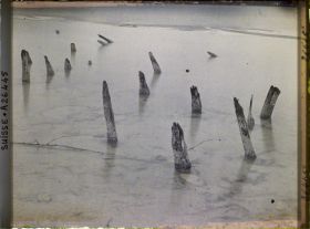 Image représentant Site palafittique préhistorique des Alpes, pieux en bois visibles lors de la baisse des eaux après la grande sécheresse de 1921