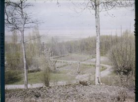Image représentant Site palafittique préhistorique des Alpes, pieux en bois visibles lors de la baisse des eaux après la grande sécheresse de 1921 sur le lac de Neuchâtel
