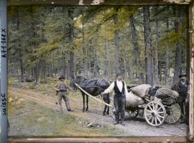 Image représentant Trois hommes posent avec un cheval et une charrette dans une forêt