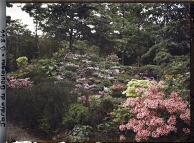 Image représentant Rocaille fleurie du " sanctuaire japonais " et chemins proches du sorinto