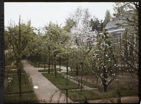 Image représentant Signes printaniers à l'est du verger-roseraie, au bord d'une allée menant à la forêt bleue