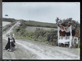 Image représentant Le reposoir de saint Thurien sur le parcours de la Grande Troménie