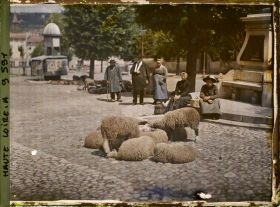 Image représentant Jour de foire boulevard Carnot