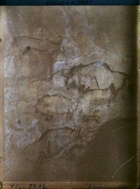 Image représentant Grotte de Niaux : quatrième panneau, partie droite