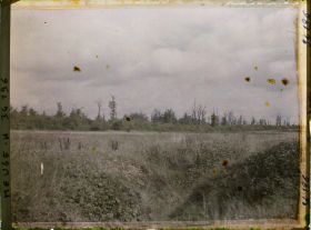 Image représentant France, Bois Brûlé, Lisière Ouest du bois de la Corvée des Prêtres