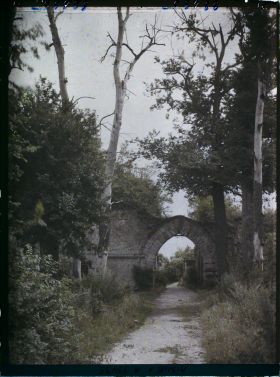 Image représentant France, Coucy le Château, Entrée du Parc du Doujon et arbre mort