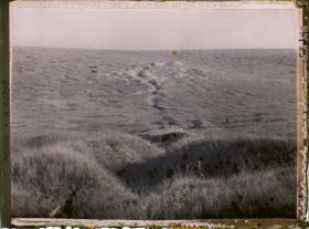 Image représentant Meuse, Mort-Homme, Tranchée Coupant le ravin des Courettes