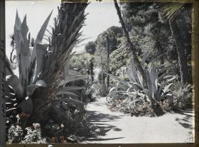 Image représentant Le Jardin