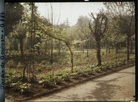 Image représentant Partie nord-ouest du verger-roseraie plantée de légumes, vue à proximité de la dépendance