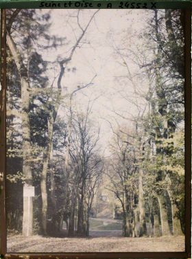 Image représentant Parc de Saint-Cloud, état de la végétation