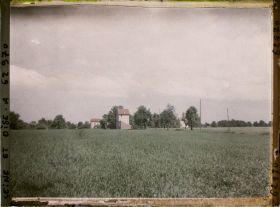 Image représentant Ile de France, Montroult, Champ de blé