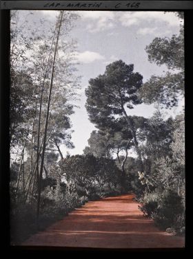 Image représentant Cap Martin - Le Jardin