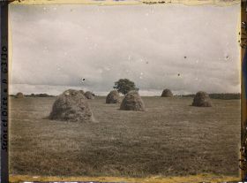 Image représentant Ile de France, Magny en Vexin , Prairie fauchée