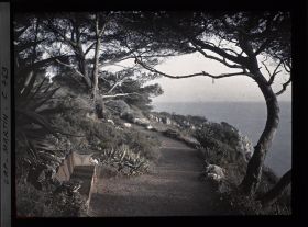Image représentant allée allant au sentier de mer