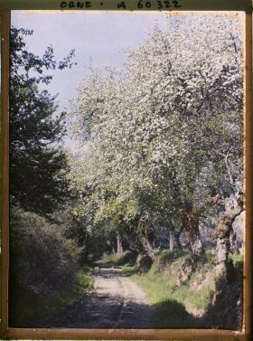 Image représentant Paysage