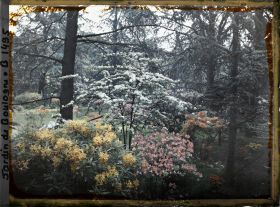 Image représentant Massif d'arbustes en fleurs proche de la partie est du marais, vu en direction du nord, nord-est
