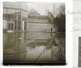 Image représentant Le palmarium et le jardin français lors de la crue
