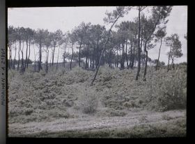 Image représentant La lande de Kerlescan
