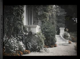 Image représentant Villa Miramar plantes près du perron