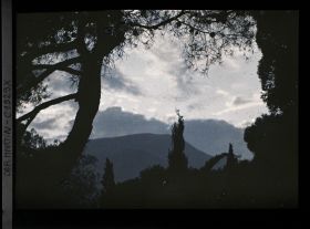 Image représentant Végétation et paysage environnant se découpant à contre-jour dans la lumière du soir, vue prise à 20 h