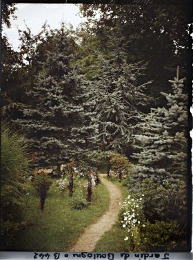 Image représentant Allée de la forêt bleue bordée de plates-bandes fleuries