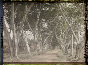Image représentant Une allée près du mur d'enceinte du palais de  null Guézo