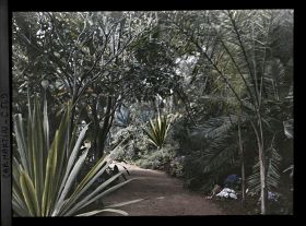 Image représentant Le jardin Les tropiques