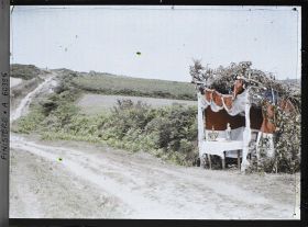 Image représentant Le reposoir de saint Thurien sur le parcours de la Grande Troménie