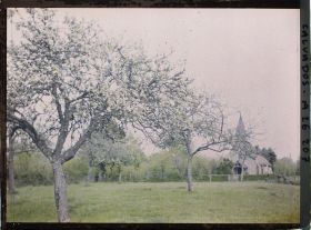 Image représentant La pommeraie