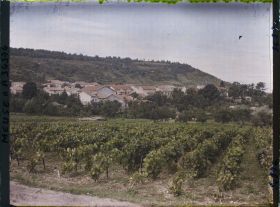 Image représentant France, St Maurice sous les Côtes, Vignes et vue sur le Village