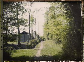 Image représentant Un petit chemin près d'Isigny-sur-Mer