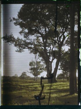 Image représentant France, Moret, Forêt de Fontainebleau