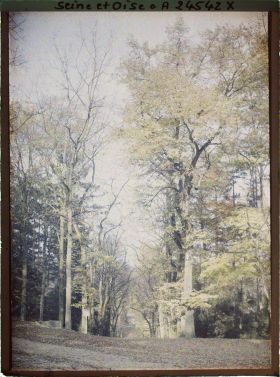 Image représentant Une allée du parc